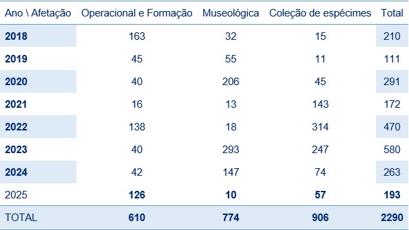 arm6.jpg