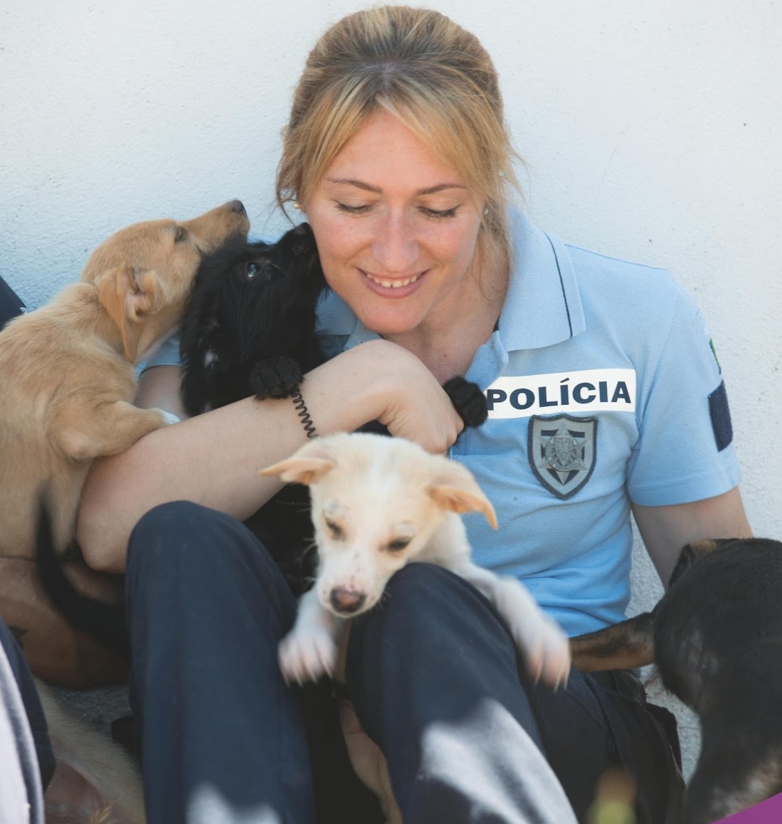 Defesa_Animal1111.jpg